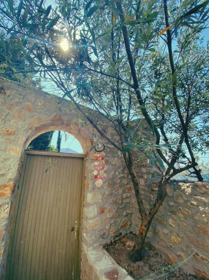 Lemons&Olives Rooms Himarë Dış mekan fotoğraf